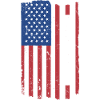 Sport Us Flag Powerlifting