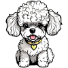 Cute Poodle II