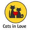Verliebte Katzen