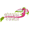DragonFruits