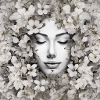les fleure en visage