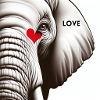 Elephant Love