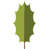 Ilex Sheet