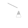 soirée raclette