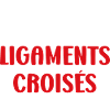 Foot ligaments croisés