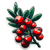 Red berry branch