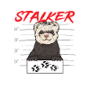 Ferret Owner Ferret