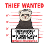 Ferret Owner Ferret