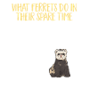 Ferret Owner Ferret