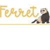 Ferret Owner Ferret