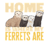 Ferret Owner Ferret