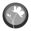Botany Botany Botanical