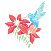 Hummingbird, Flowers, Flower Bird
