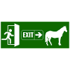 Exit raus zum pferd