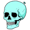 Funny Cartoon Skull