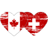 Canada Suisse Drapeau Coeur Utilisé