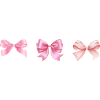 Blossom Coquette Aesthetic - Bows
