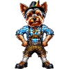 Yorkshire Terrier dog Bayern
