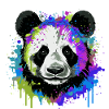 Panda Kopf Porträt Bunt