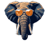 Cool Elephant with Sunglasses – Casual