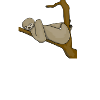 Faultier - Nee nicht heute