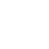 Cactus en pot
