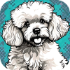 Cute Toy Poodle I