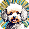 Caniche jouet mignon II