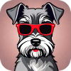Cute schnauzer dog with glasses