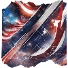 USA Limited Edition