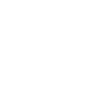 Ski