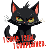 Came saw complained angry cat