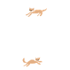 Chipi Chipi Chapa Chapa