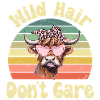 Scottish Highland Cattle Cow