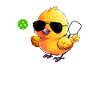 Pickleball Chick, funny pickleball