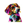 beagle Farverig beagle