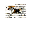 Chasse au lapin Beagle, Beagle