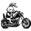 Lapin motard
