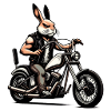 Lapin motard