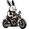 Biker Hase