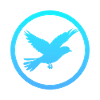 Flying, Flying, Bird