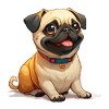 Cute little pug
