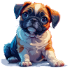 Pug puppy sitting