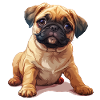 Mops Welpen sitzend