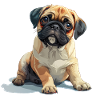Cute little pug