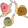 Snails
