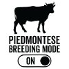 Cow breeding mode on - Piedmontese