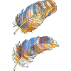 Pen