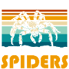 Spider Nature Web Silk Threads