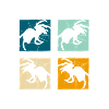 Spider Pet Tarantula